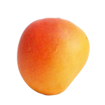 R2E2 Mango