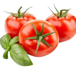 Tomatoes