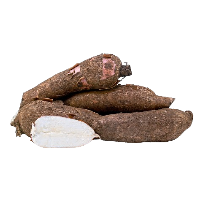 Tapioca