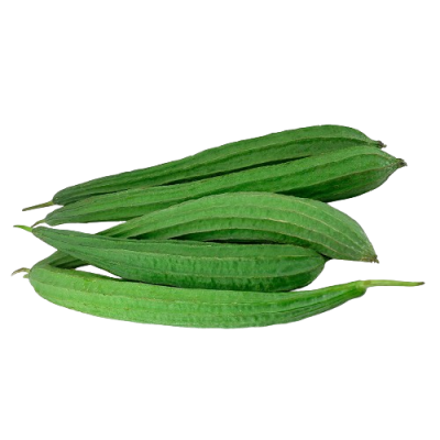 Angle Gourd