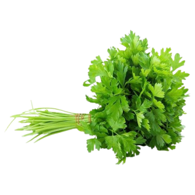Coriander Leaf