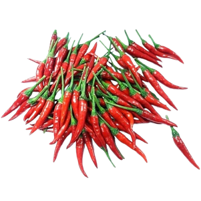 Red Chilli Padi