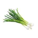 Spring Onion